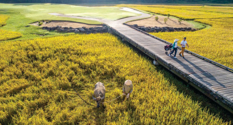 Laguna Lăng Cô: Cánh cổng dẫn lối vào những kỳ quan cố đô