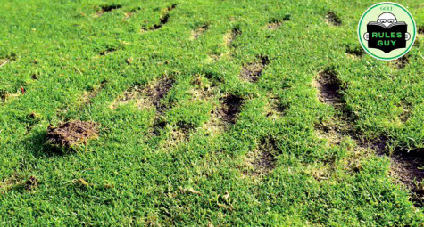 Drop zone có quá nhiều divot, có được thả bóng ra bên ngoài?