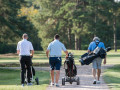 Sporting Insights: Số vòng golf tăng tại Anh vào cuối năm 2024