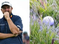 Tình huống luật tại The Open: Shane Lowry bị phạt 2 gậy vì bóng di chuyển lúc swing nháp