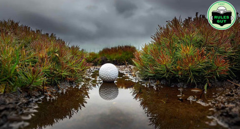 Cơn mưa “cứu bóng” khỏi bụi rậm: Luật Golf xử lý thế nào?