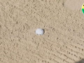 Kỹ thuật “hammer-and-nail”: Dùng cổ gậy để xử lý bóng bị chôn sâu trong bunker