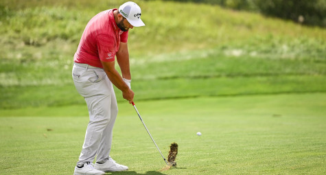 Bóng nằm trong hố divot – Được phép di chuyển không?