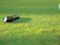 Xử lý ra sao khi tee box “mất” một cọc?