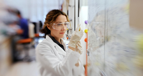 CHƯƠNG TRÌNH GIẢI THƯỞNG ROLEX AWARDS