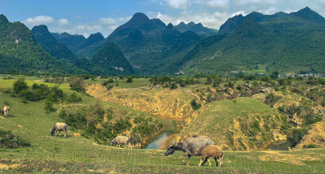 Độc lạ sân golf 18 hố từ một bãi chăn thả tại Cao Bằng 