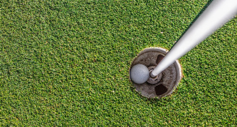 Bóng vào hố nhờ cú đánh của người khác, có được tính hole-in-one?
