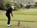 Chris Gotterup tiết lộ 3 lỗi swing amateur thường mắc phải