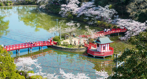 Golf “không vội vã” ở Chiba