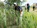 Brooks Koepka chấn thương ngay trước thềm U.S. Open 2026