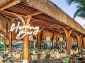 Herring Bar ra mắt trải nghiệm tiệc nướng bên biển 