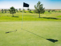 9 quy định golfer cần biết trên putting green