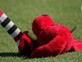 Để headcover khi đo chiều dài gậy, có bị phạt?
