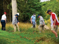 Những điều Luật Golf quy định về tìm kiếm bóng