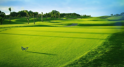 Việt Nam: Điểm sáng trên bản đồ golf thế giới