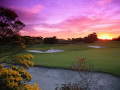 Royal Melbourne Golf Club: Sân golf “Hoàng gia” xứ sở chuột túi