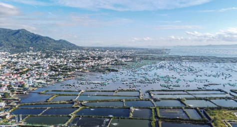 Khánh Hòa chấm dứt hoạt động dự án nghìn tỷ