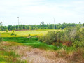 Royal Long An Golf & Villas: Trải nghiệm mới lạ với green ấn tượng