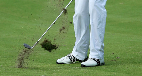 Dấu hiệu từ Divot