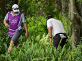 Luật Golf: Làm gãy cành cây khi tìm bóng có bị phạt không?