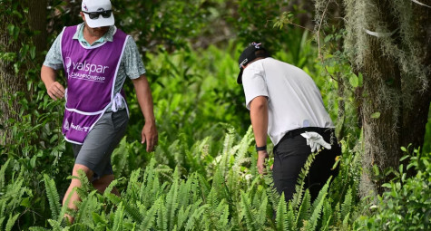 Luật Golf: Làm gãy cành cây khi tìm bóng có bị phạt không?