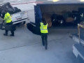 Nhân viên sân bay ném túi gậy của khách như “ném gạch”