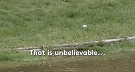 Pro DPWT hên nhất năm: Bóng bật nảy trên mặt nước mang về cơ hội ghi birdie