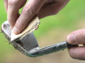 Vệ sinh gậy golf đúng cách (và dễ thực hiện)