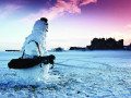 Snowman trong golf là gì?