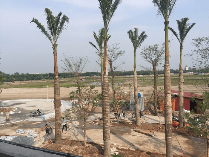 The Ernie Els Golf Academy tại Ecopark đang dần hình thành 5