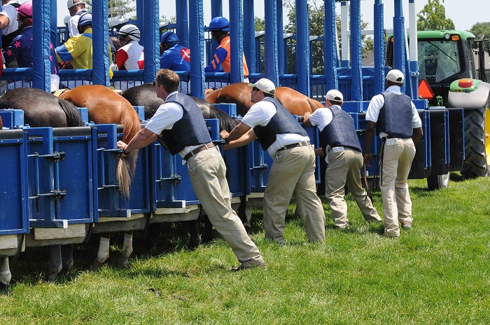 gate crew 3 nyra credit