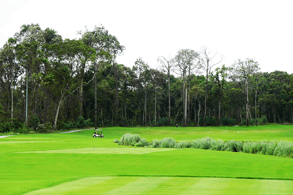 Vinpearl Golf Phu Quoc – Thiên đường golf trên đảo Ngọc