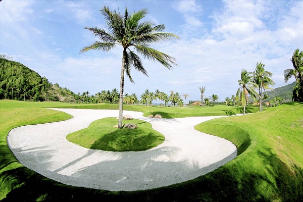 Diamond Bay City: Thiên đường nghỉ dưỡng