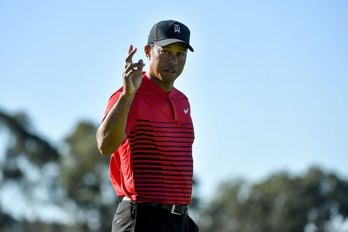 Tiger Woods 