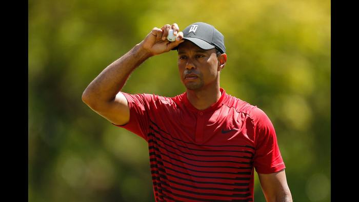 Tiger Woods chỉ cách hố playoff 1 gậy