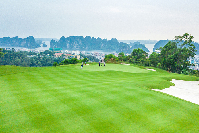 FLC Ha Long Golf Club, sân golf tổ chức nhiều giải đấu lớn.
