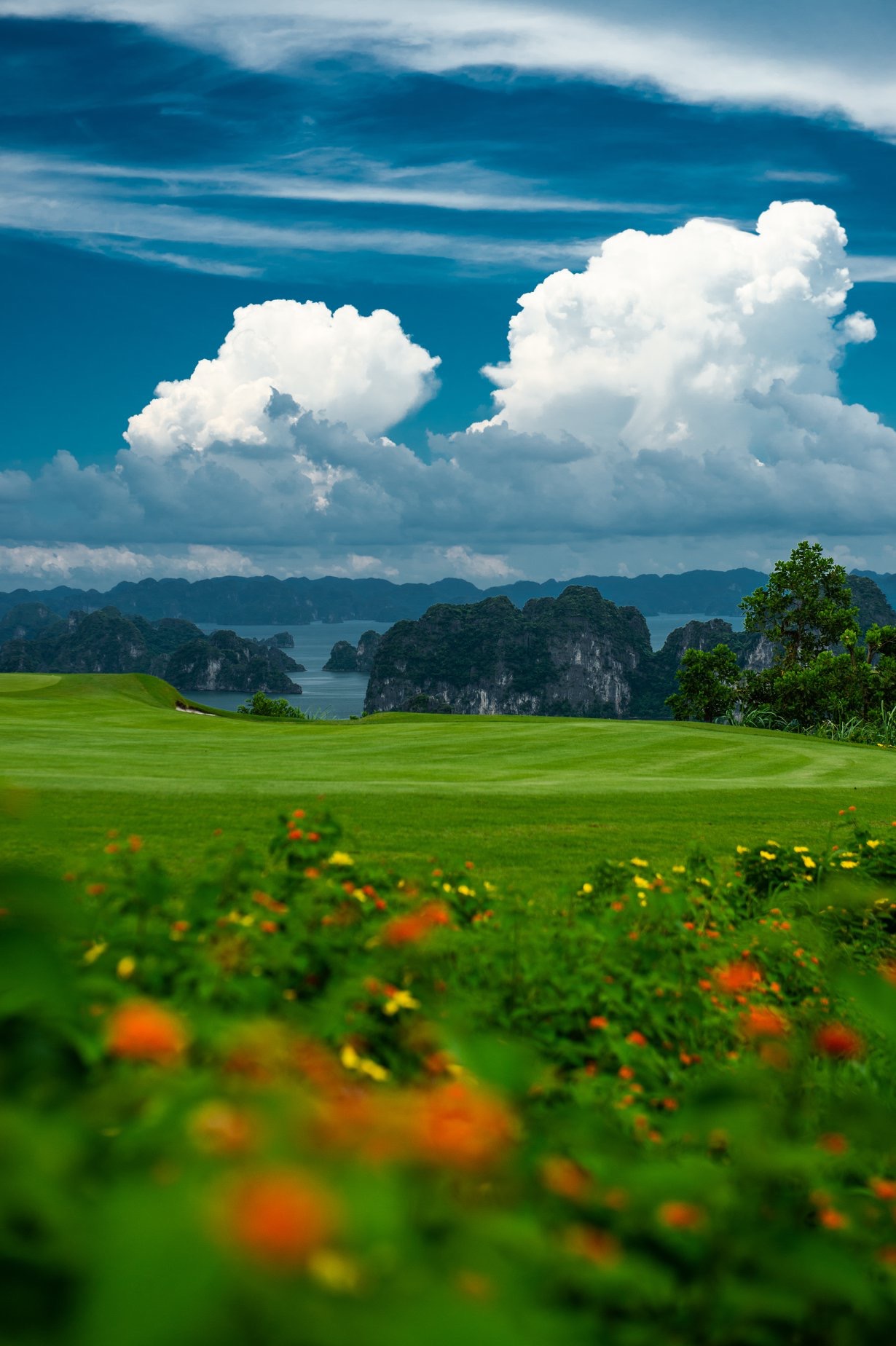 Vẻ đẹp của FLC Golf Club Hạ Long