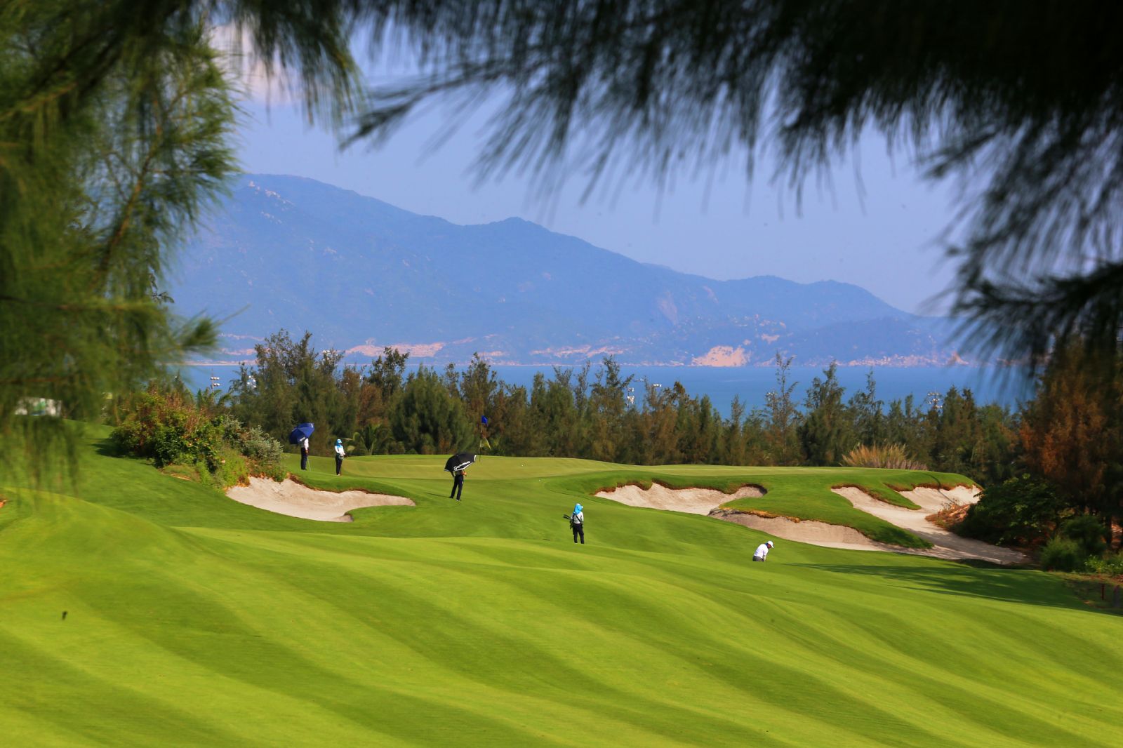Sân FLC Golf Links Quy Nhon - Tuyệt tác bên bờ biển Đông