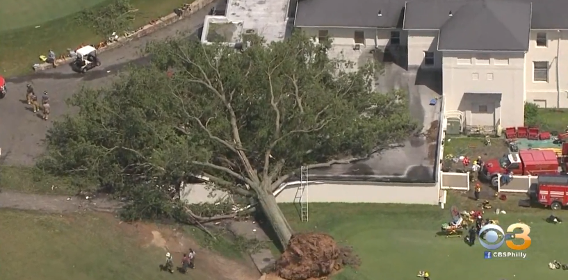 Hiện trường vụ cây đổ trên sân golf Philmont.