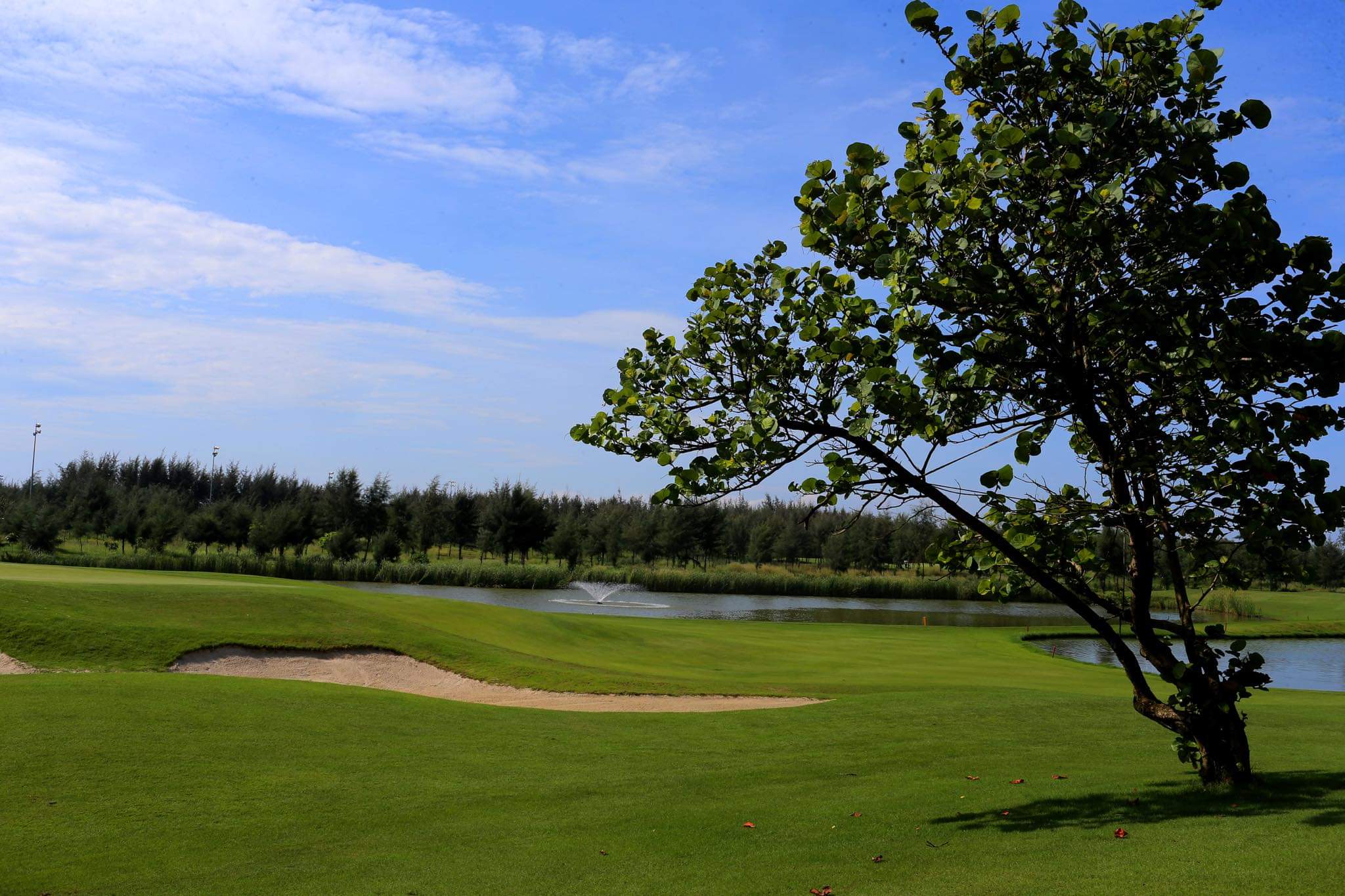 FLC Golf Links Sam Son được chọn là nơi đăng cai giải đấu