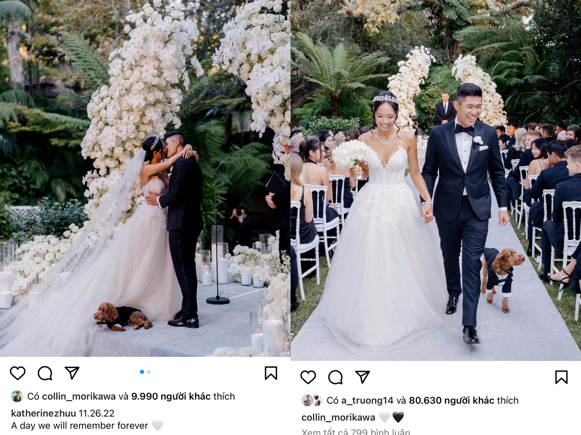 collin morikawa wife and kids Image 4