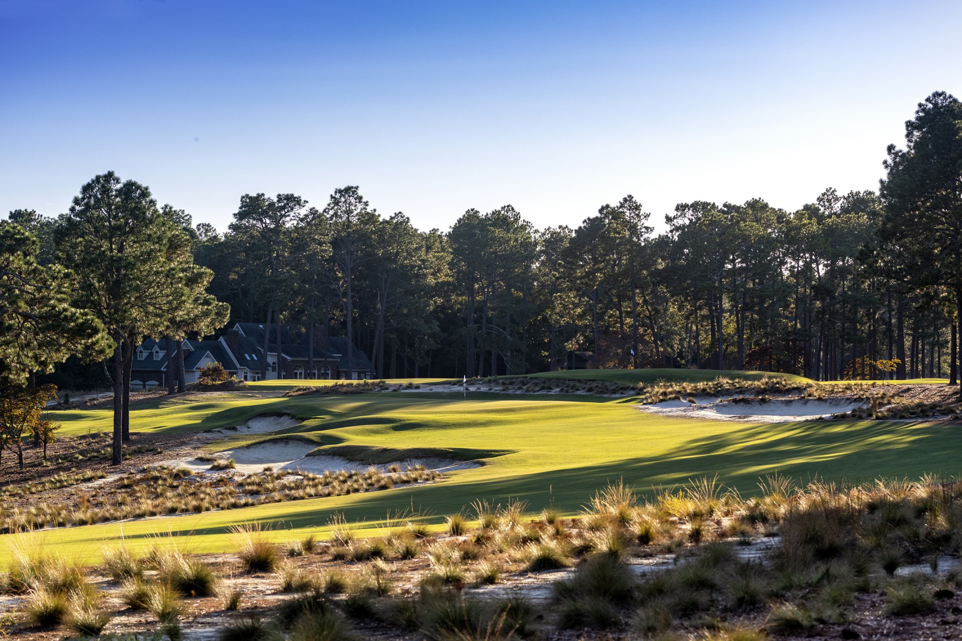 Pinehurst No.2: Chiến địa khắc nghiệt 