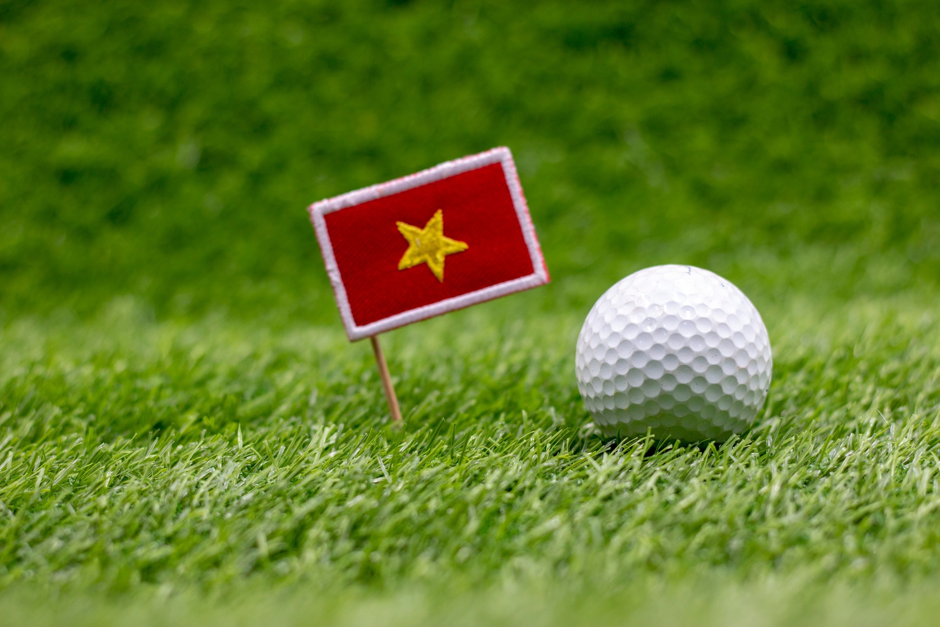 VNGOS 2025: "Hợp tác sẽ giúp các sân golf Việt Nam lớn mạnh"