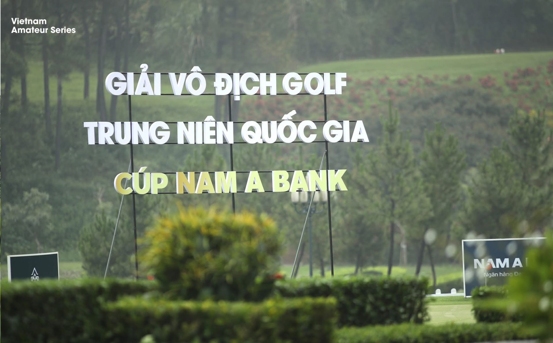 33fce6397c8fc9d1909e.jpg (504 KB)