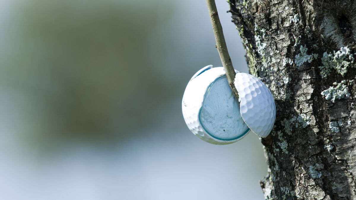 GettyImages-145993500_7abbbb2796.jpg (127 KB)