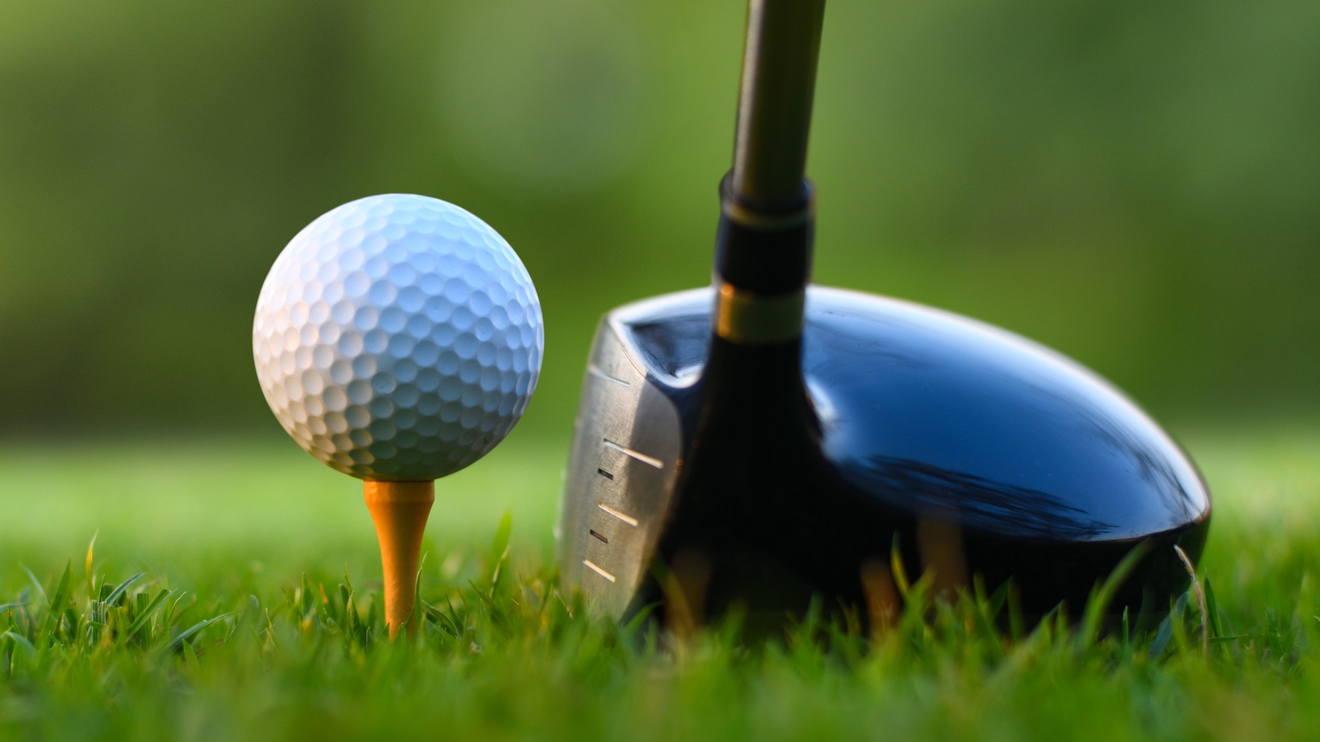 best-golf-tees-featured-image-bl.jpg (243 KB)