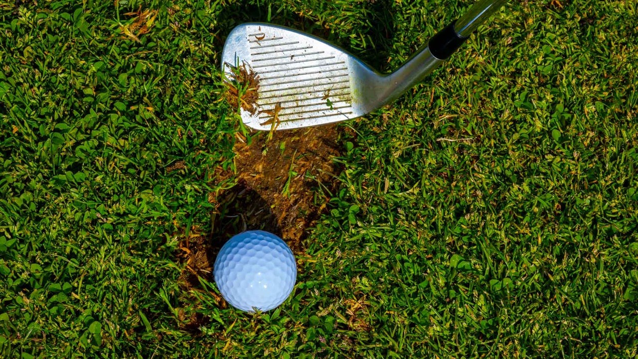 divot.jpg (418 KB)