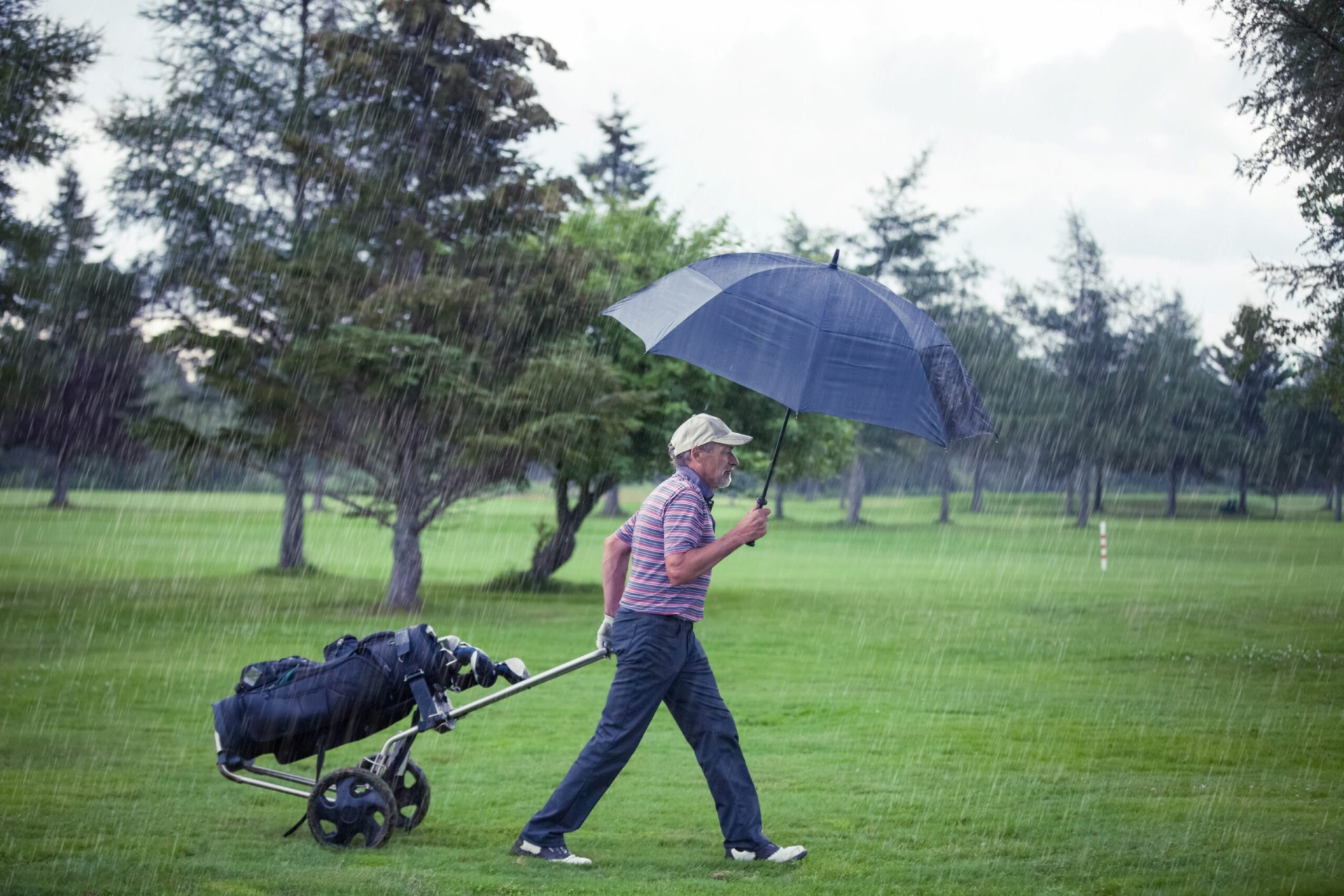 golfer-on-a-rainy-day-leaving-th.jpg (710 KB)