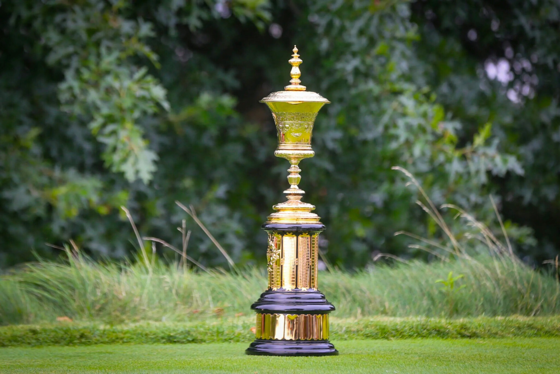 Havemeyer-trophy-scaled-копія-sc.jpg (660 KB)