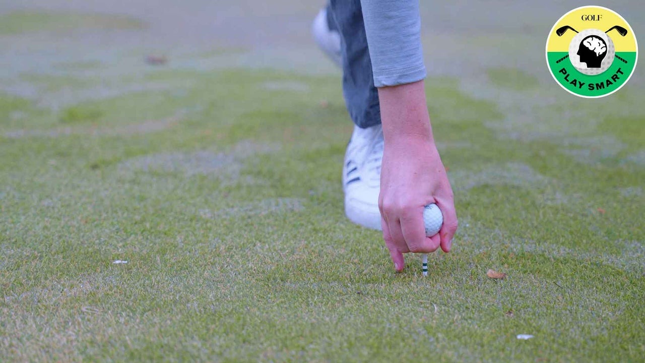 tee-height-play-smart-2.jpg (147 KB)